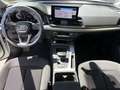 Audi Q5 Q5  35 2.0 tdi mhev 12V Business Advanced s-tronic Bianco - thumbnail 7