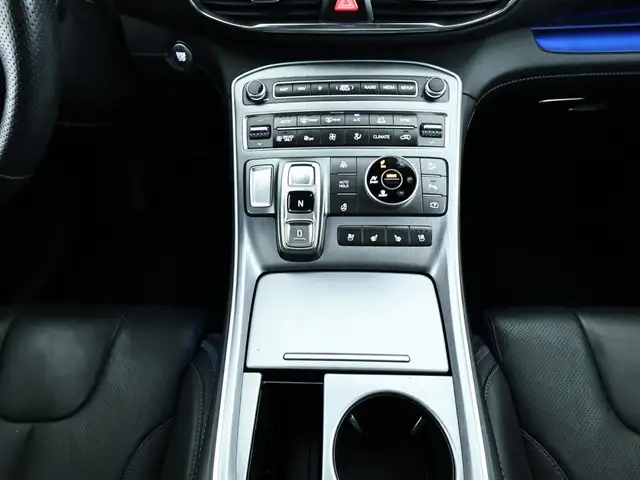Hyundai Santa FE view 13