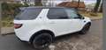 Land Rover Discovery Sport Blanc - thumbnail 5