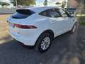 Jaguar E-Pace 2.0d i4 HSE awd 150cv auto Bianco - thumbnail 2