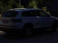 Skoda Kodiaq Kodiaq Diesel 2.0 TDI 4x4 Ambition Weiß - thumbnail 2
