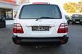 Toyota Land Cruiser 100 Executive *Scheckheft*TOP*VOLL* Blanc - thumbnail 7