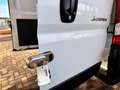 Citroen Jumper SOLO 30000 KM  TAGLIANDATO UNICOPROPRIETARIO Bianco - thumbnail 11