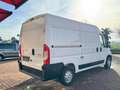 Citroen Jumper SOLO 30000 KM  TAGLIANDATO UNICOPROPRIETARIO Bianco - thumbnail 5