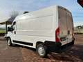 Citroen Jumper SOLO 30000 KM  TAGLIANDATO UNICOPROPRIETARIO Bianco - thumbnail 10