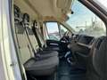 Citroen Jumper SOLO 30000 KM  TAGLIANDATO UNICOPROPRIETARIO Bianco - thumbnail 4