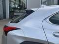 Lexus UX 250h Luxury Line | 2e Eig./Voll.Historie/Leder/Navi/Ada Grijs - thumbnail 42
