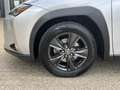 Lexus UX 250h Luxury Line | 2e Eig./Voll.Historie/Leder/Navi/Ada Grijs - thumbnail 38