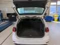 Volkswagen Golf VII 1.6 TDI Comfortline StHz Wit - thumbnail 12