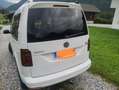 Volkswagen Caddy Kombi Generation Four 2,0 TDI 4MOTION Weiß - thumbnail 1