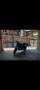 Keeway RKF 125 naked Noir - thumbnail 1