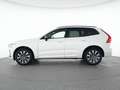 Volvo XC60 B4 Diesel Plus Dark 19"+VOLL-LED+ACC+360° Weiß - thumbnail 11