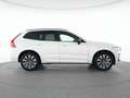 Volvo XC60 B4 Diesel Plus Dark 19"+VOLL-LED+ACC+360° Weiß - thumbnail 12