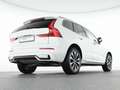 Volvo XC60 B4 Diesel Plus Dark 19"+VOLL-LED+ACC+360° Weiß - thumbnail 8