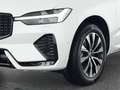 Volvo XC60 B4 Diesel Plus Dark 19"+VOLL-LED+ACC+360° Weiß - thumbnail 9