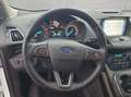 Ford Kuga 1.5 EcoBoost 2x4 Titanium BI-Xenon Navi Weiß - thumbnail 11