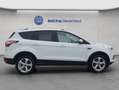 Ford Kuga 1.5 EcoBoost 2x4 Titanium BI-Xenon Navi Weiß - thumbnail 7