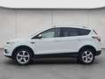Ford Kuga 1.5 EcoBoost 2x4 Titanium BI-Xenon Navi Blanc - thumbnail 2