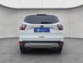 Ford Kuga 1.5 EcoBoost 2x4 Titanium BI-Xenon Navi Weiß - thumbnail 4
