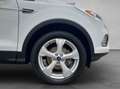 Ford Kuga 1.5 EcoBoost 2x4 Titanium BI-Xenon Navi Blanc - thumbnail 24