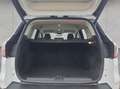 Ford Kuga 1.5 EcoBoost 2x4 Titanium BI-Xenon Navi Weiß - thumbnail 5