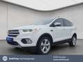 Ford Kuga 1.5 EcoBoost 2x4 Titanium BI-Xenon Navi Blanc - thumbnail 1
