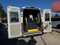 Iveco DAILY 35S14 2.3  TRASPORTO DISABILI Blanc - thumbnail 6