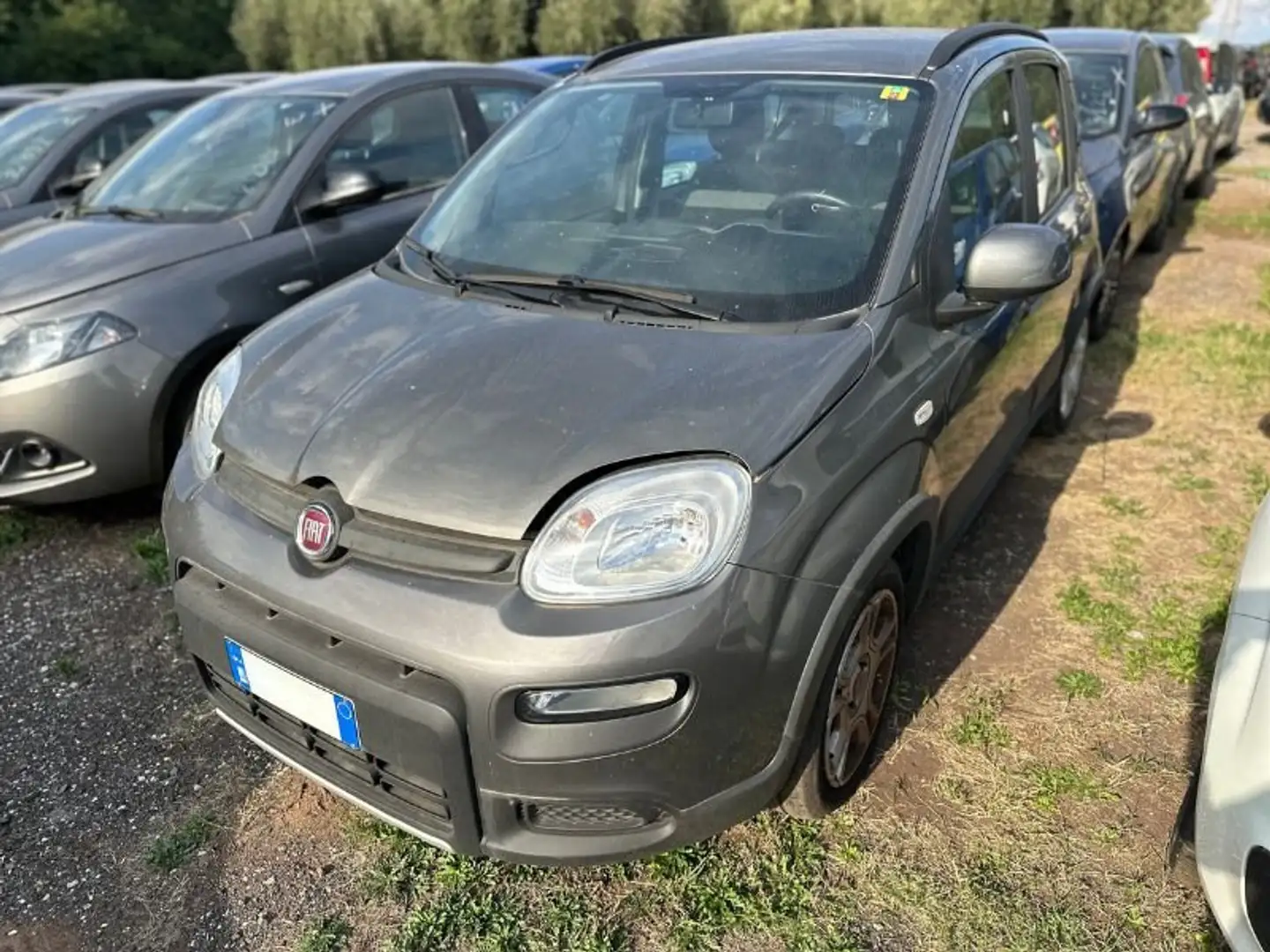 Fiat Panda Panda 1.0 firefly hybrid City Life s - 1