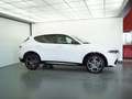 Alfa Romeo Tonale 1.5 160 CV MHEV TCT7 Tributo Italiano Bianco - thumbnail 5