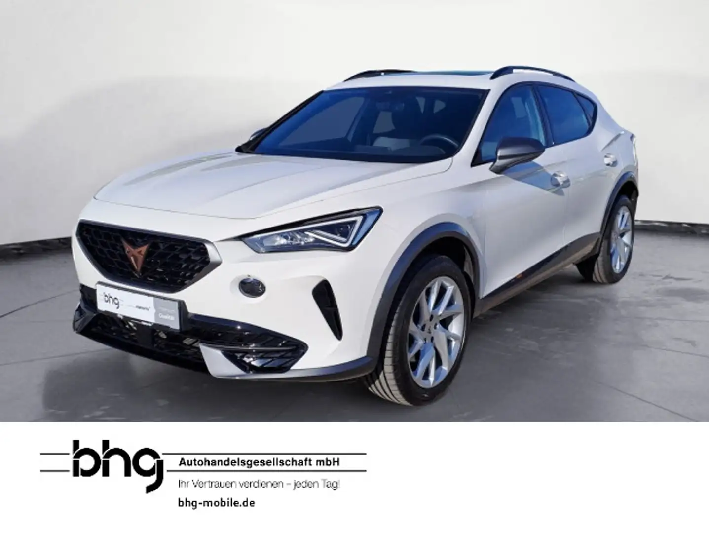 CUPRA Formentor 2.0 TDI DSG 4Drive AHK Kamera Pano Nav Blanco - 1