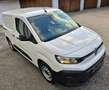 Citroen Berlingo Weiß - thumbnail 1