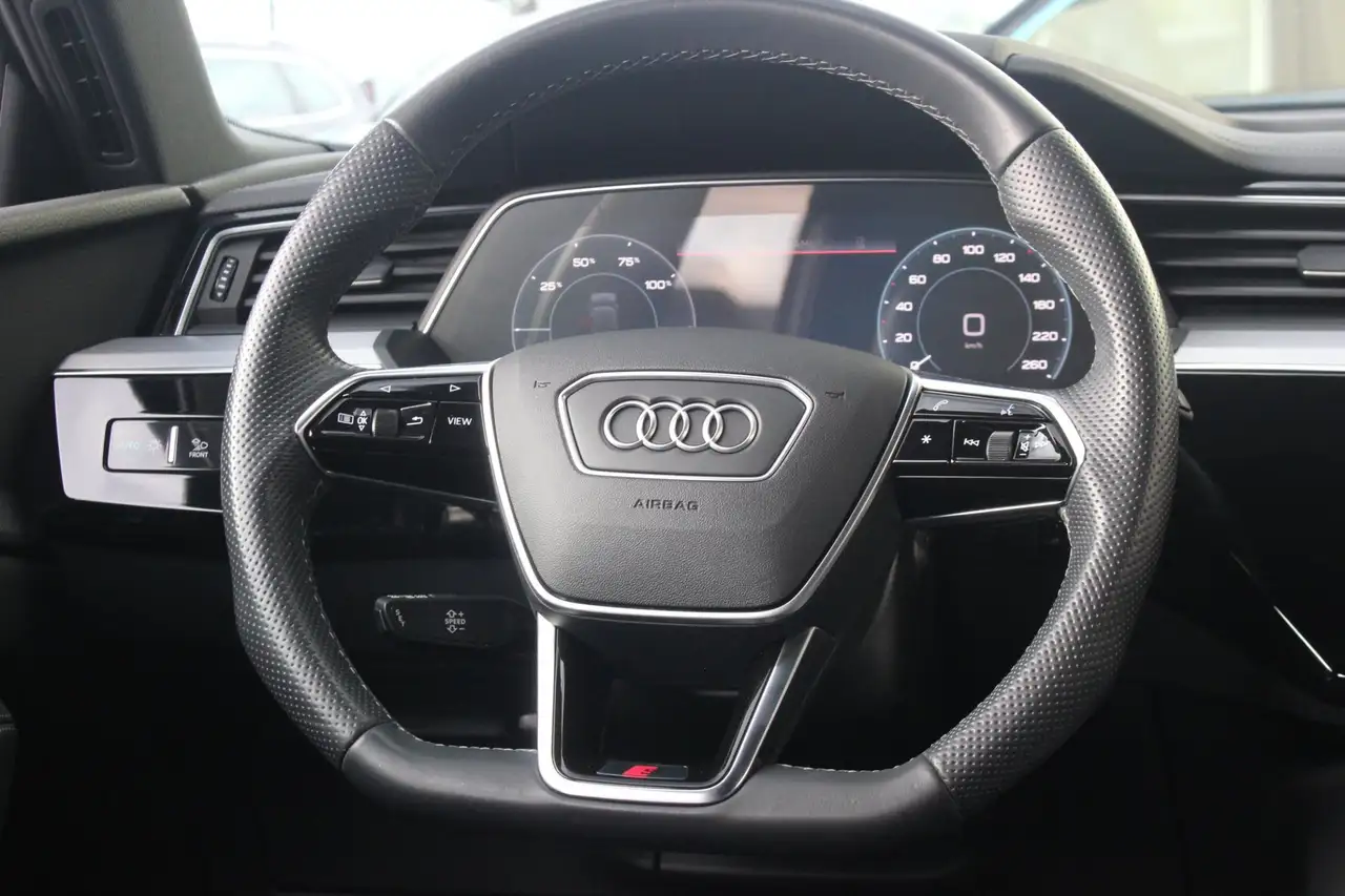 Audi e-tron 50 quattro S edition S-Line Trekhaak Siambeige, миниатюра 9