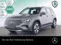 Mercedes-Benz EQB 250 PROG+MEMORY+SPUR Grau - thumbnail 1