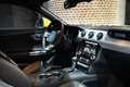Ford Mustang Mustang Fastback V8 5.0 421 GT A Gelb - thumbnail 11