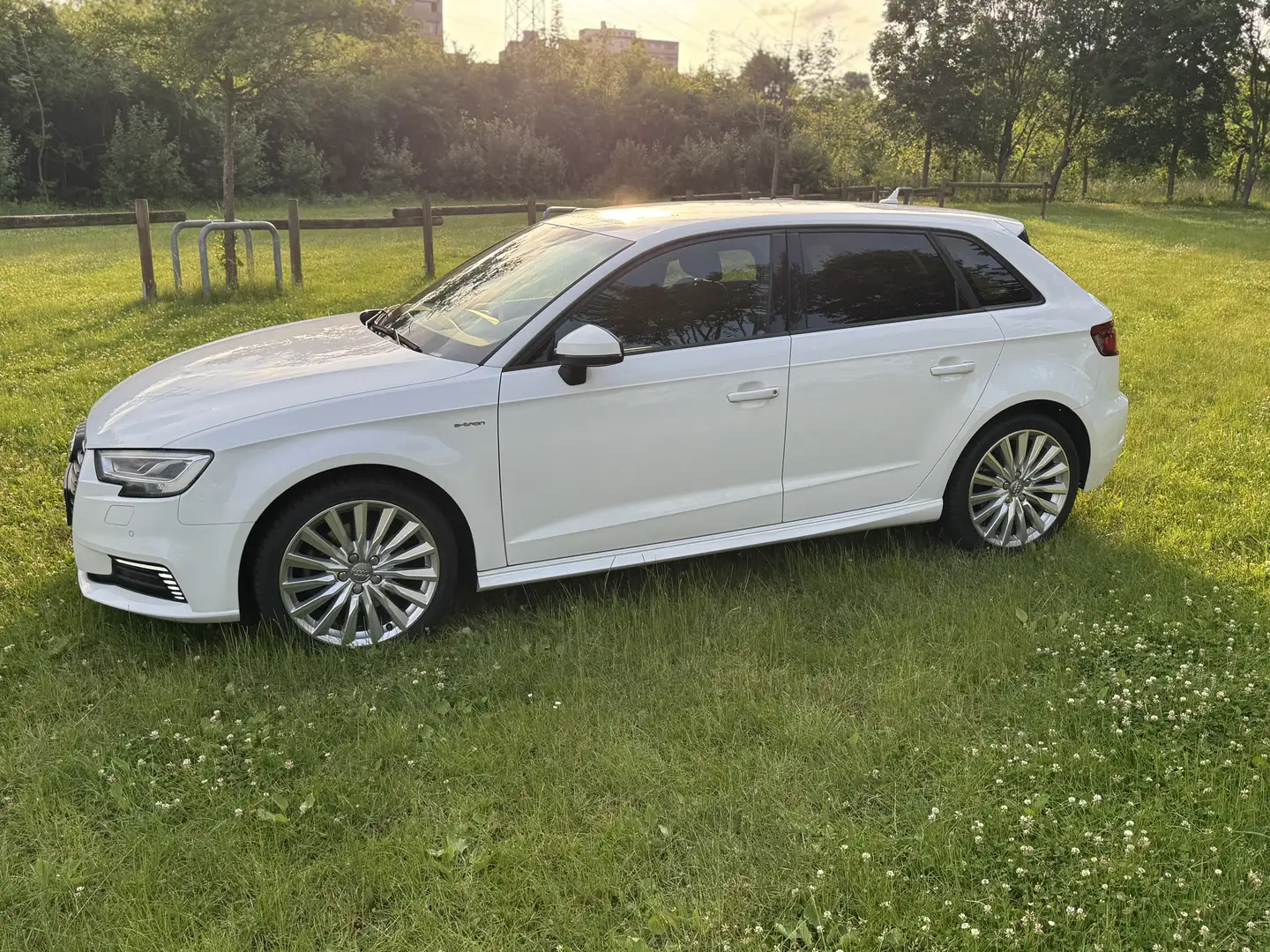 Audi A3 e-tron sport Weiß - 1