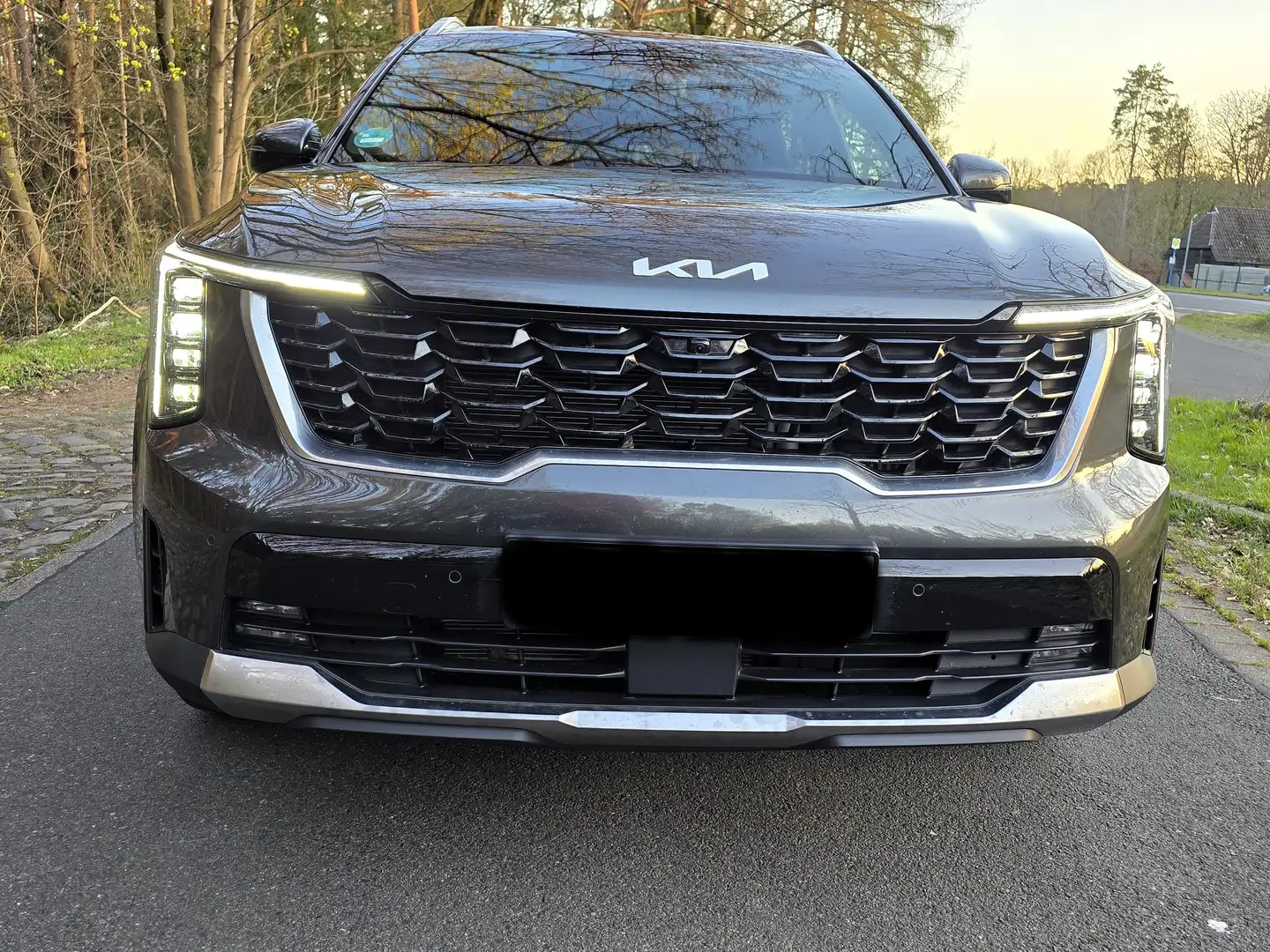 Kia Sorento Sorento 2.2 CRDi DCT8 AWD Platinum Grau - 1