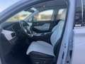 Hyundai SANTA FE 2.2 CRDi 201PS Signature *SEVEN*4WD*AUT* Weiß - thumbnail 7
