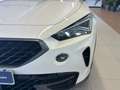 CUPRA Formentor 2.0 TDI Blanc - thumbnail 26