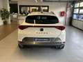 CUPRA Formentor 2.0 TDI Blanc - thumbnail 21