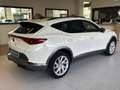CUPRA Formentor 2.0 TDI Blanc - thumbnail 22