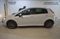 Fiat Punto Evo 1,3 JTD Mje **1.Besitz**Pickerl neu**Formula** Weiß - thumbnail 6