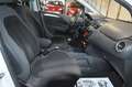 Fiat Punto Evo 1,3 JTD Mje **1.Besitz**Pickerl neu**Formula** Weiß - thumbnail 18