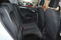 Fiat Punto Evo 1,3 JTD Mje **1.Besitz**Pickerl neu**Formula** Weiß - thumbnail 19