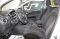 Fiat Punto Evo 1,3 JTD Mje **1.Besitz**Pickerl neu**Formula** Weiß - thumbnail 12