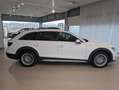 Audi A4 allroad A4 All 40 2.0 tdi Business  quattro IVA ESPOSTA Bianco - thumbnail 5