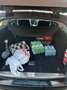 Mercedes-Benz E 220 T CDI DPF BlueEFFICIENCY Automatik Avantgarde - thumbnail 10