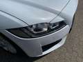 Jaguar XF 30d R-Sport  LEDER | SD | BI-XENON | PANORAMA Weiß - thumbnail 7