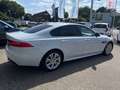 Jaguar XF 30d R-Sport  LEDER | SD | BI-XENON | PANORAMA Weiß - thumbnail 5