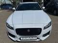 Jaguar XF 30d R-Sport  LEDER | SD | BI-XENON | PANORAMA Weiß - thumbnail 2