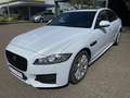 Jaguar XF 30d R-Sport  LEDER | SD | BI-XENON | PANORAMA Weiß - thumbnail 1
